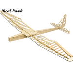 RC Plane Laser Cut Balsa Wood Airplanes sunbird 2017