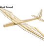 RC Plane Laser Cut Balsa Wood Airplanes sunbird 2017