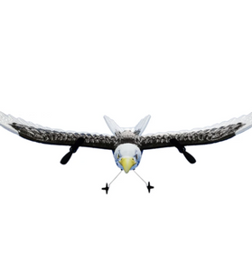 RC Plane Wingspan Eagle Bionic Aircraft Fighter Radio Control