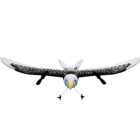 RC Plane Wingspan Eagle Bionic Aircraft Fighter Radio Control