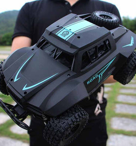 Remote Control Car High Speed RC Off Road Racing